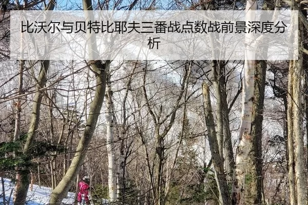 比沃尔与贝特比耶夫三番战点数战前景深度分析